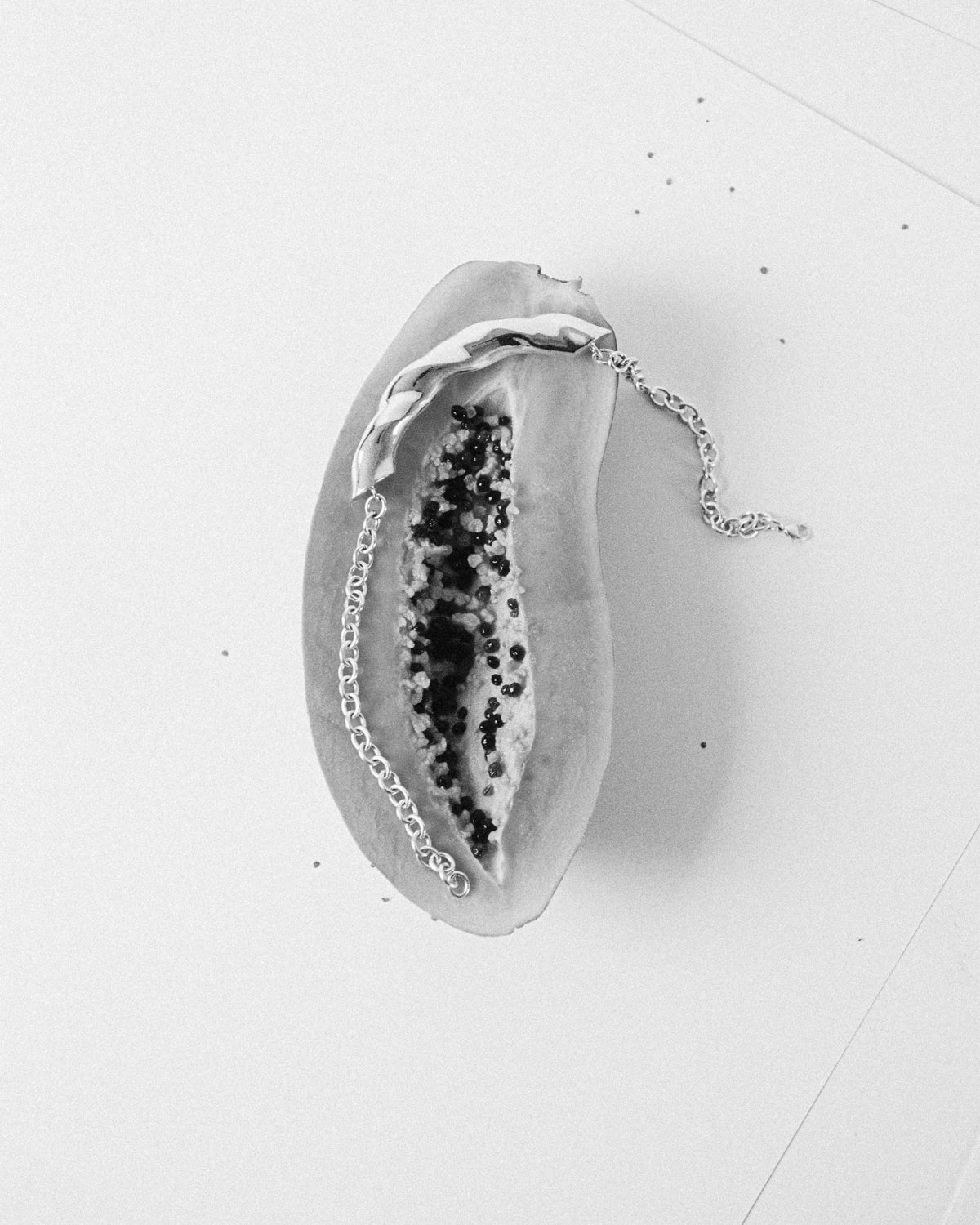 AGMES 0.925 sterling silver sculptural Astrid Choker displayed on fruit.