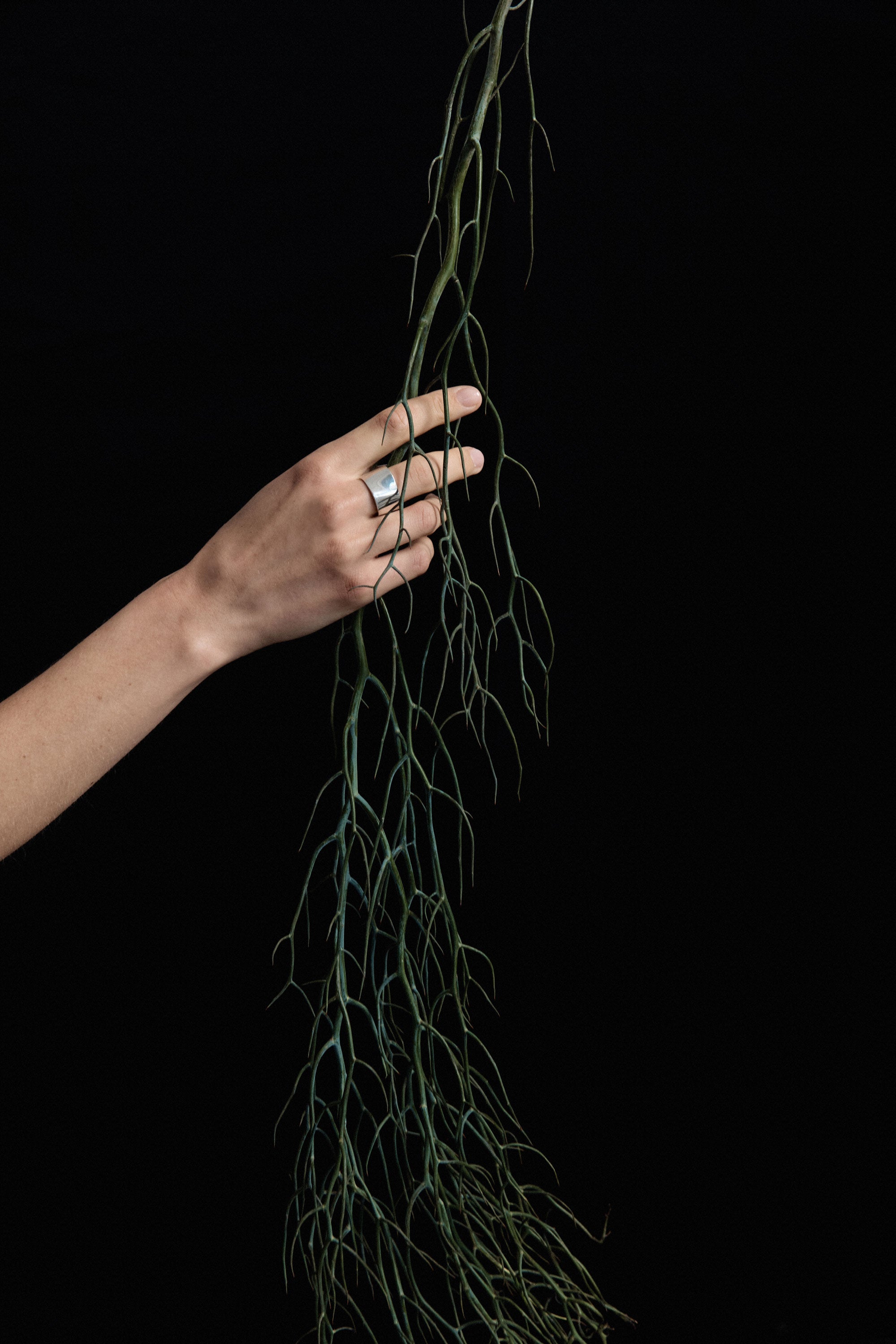 AGMES .925 Sterling Silver Astrid Cigar Band Rings.