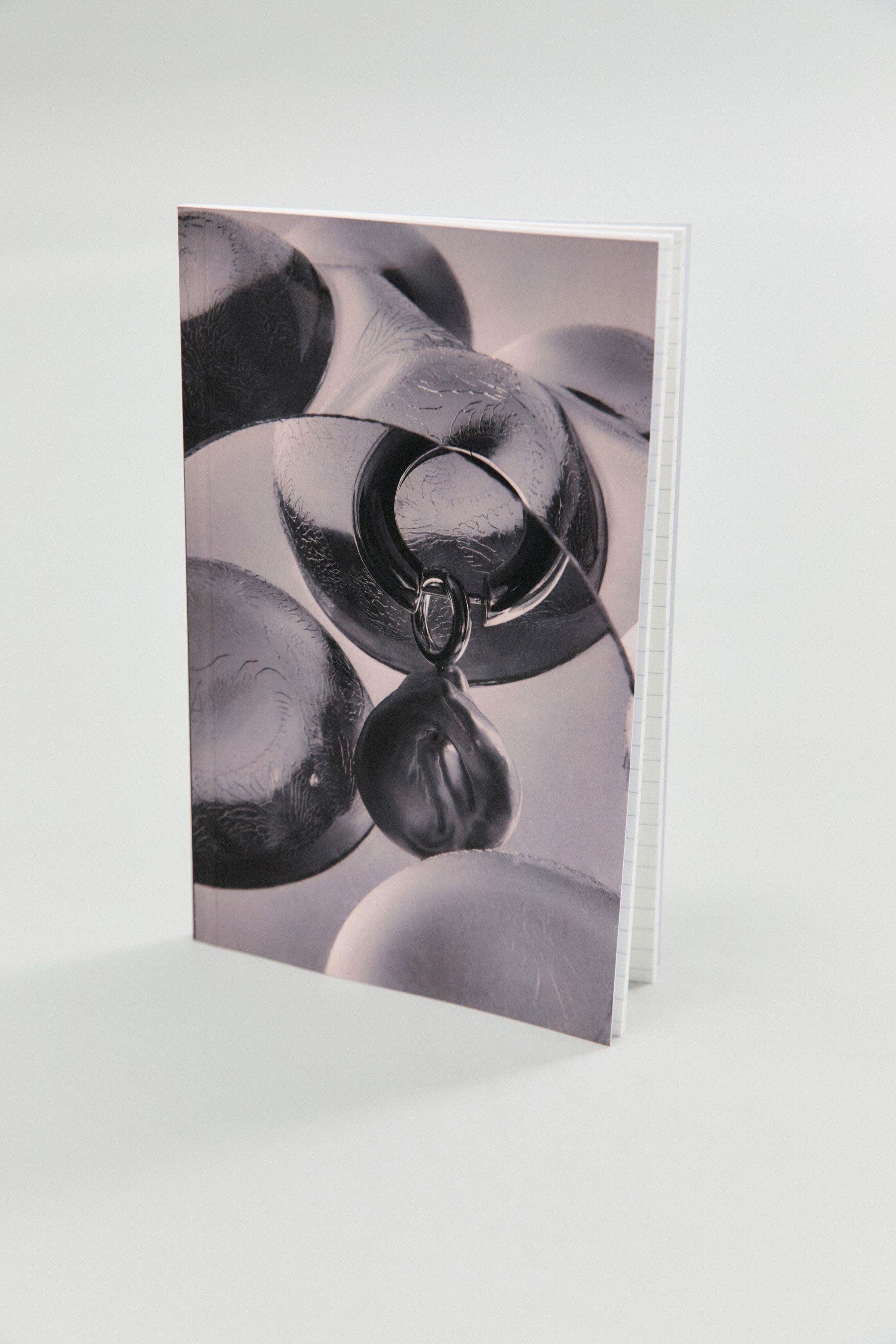 AGMES Notebook. 5" x 8" notebook.
Matte scratch resistant soft cover.