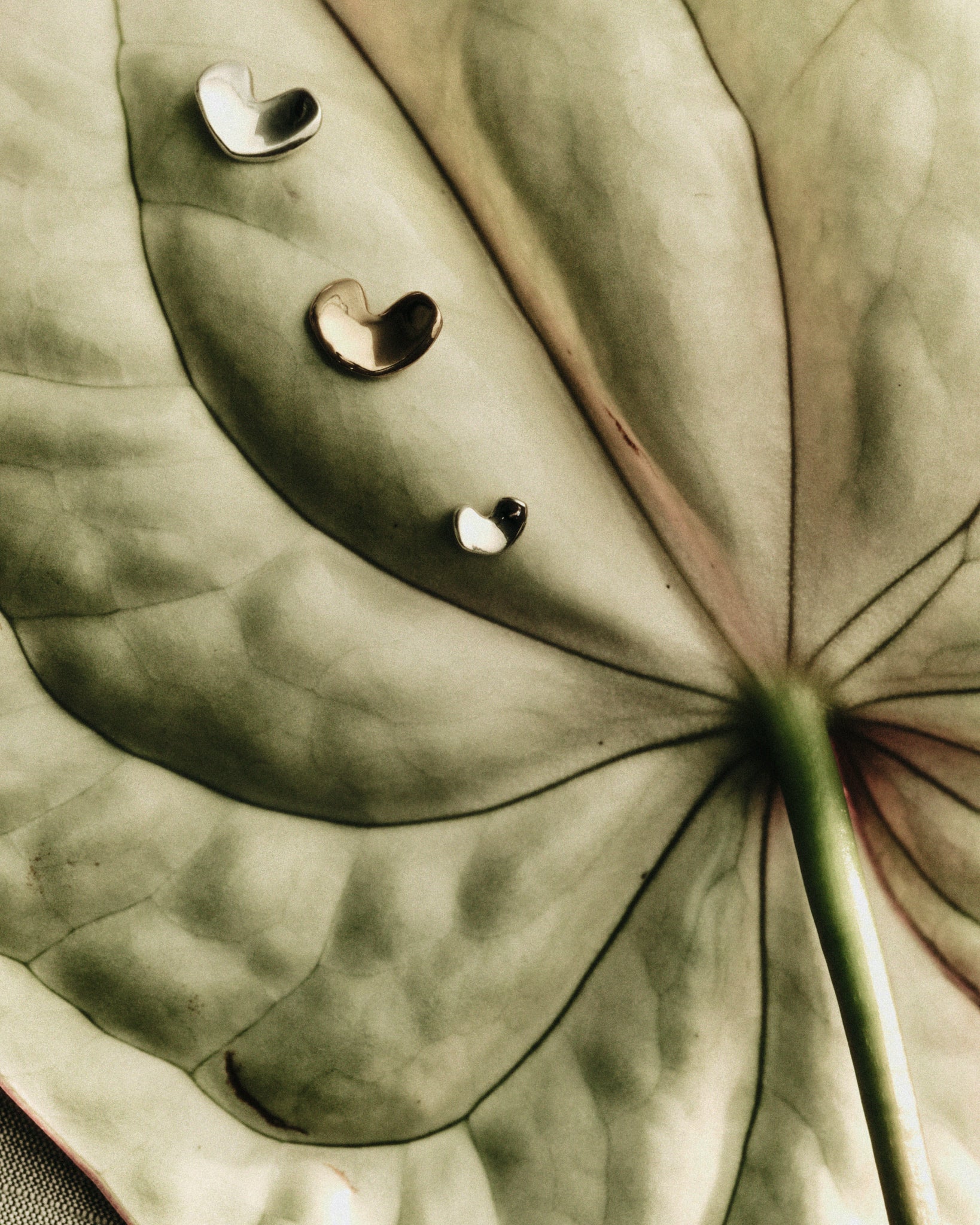 AGMES .925 Sterling Silver and 18K Gold Vermeil Sculpted Heart Stud Earrings