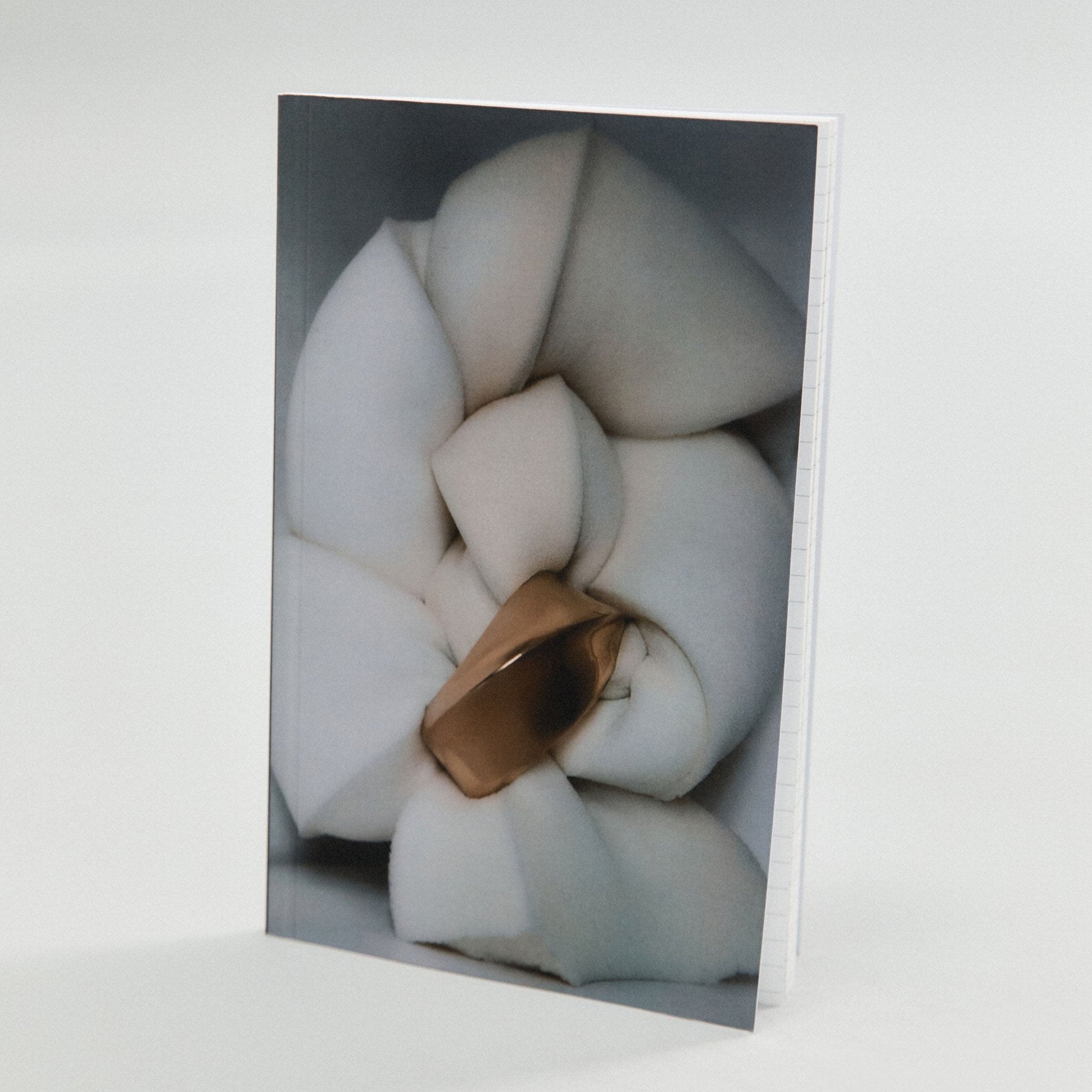 AGMES Twist Notebook. 5" x 8" notebook.
Matte scratch resistant soft cover.