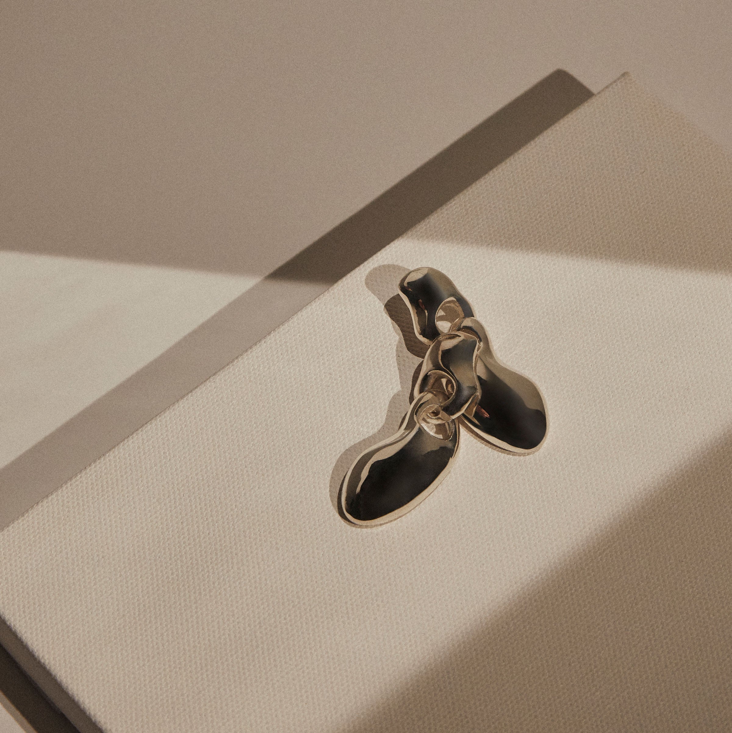 AGMES 0.925 sterling silver sculpted drop earrings.