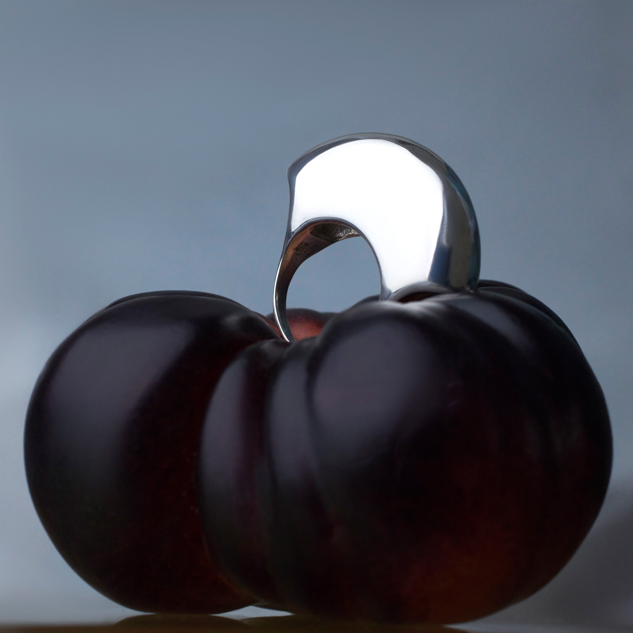 AGMES .925 Sterling Silver sculptural Jouve Ring displayed on piece of fruit.