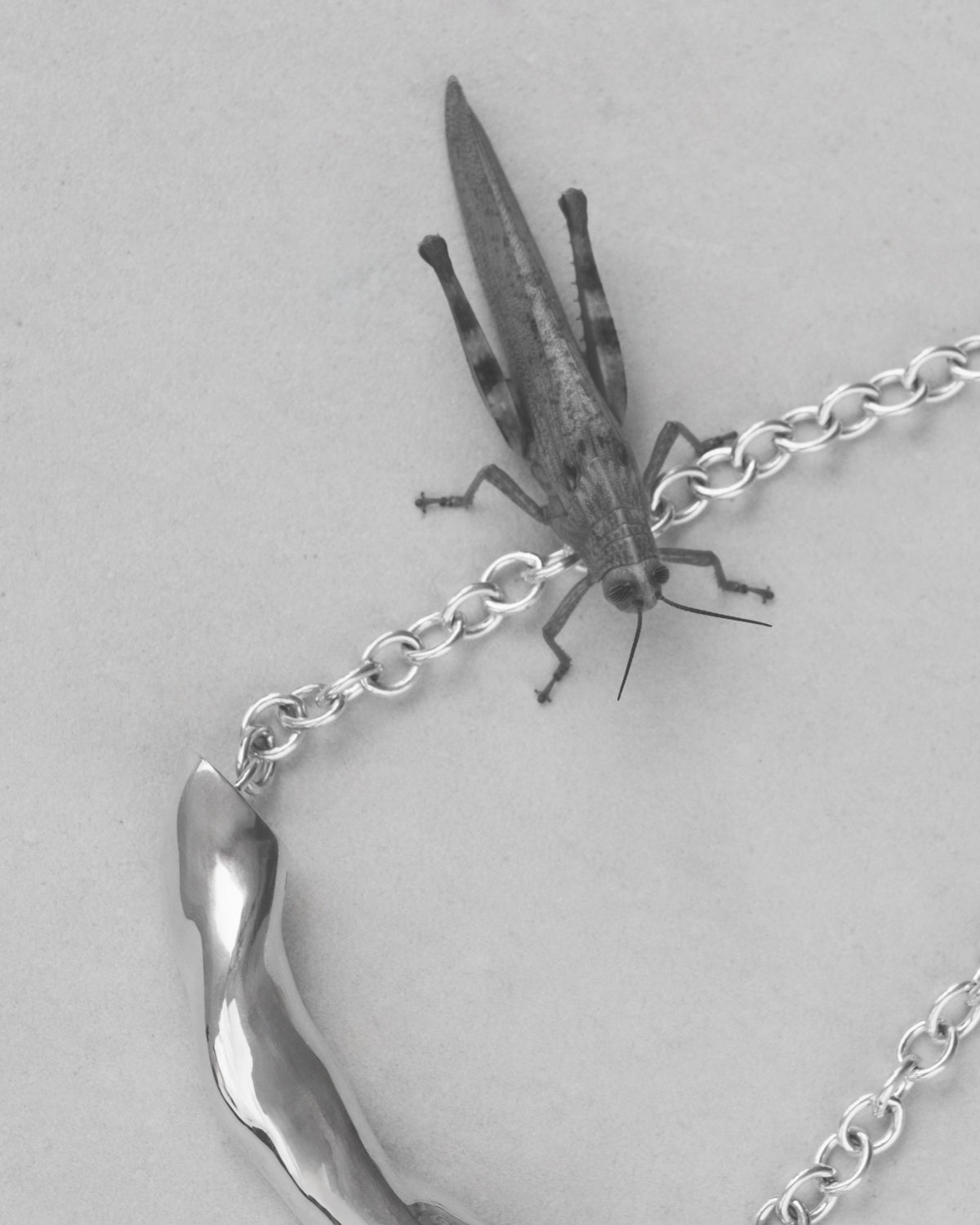 AGMES 0.925 sterling silver sculptural Astrid Choker 