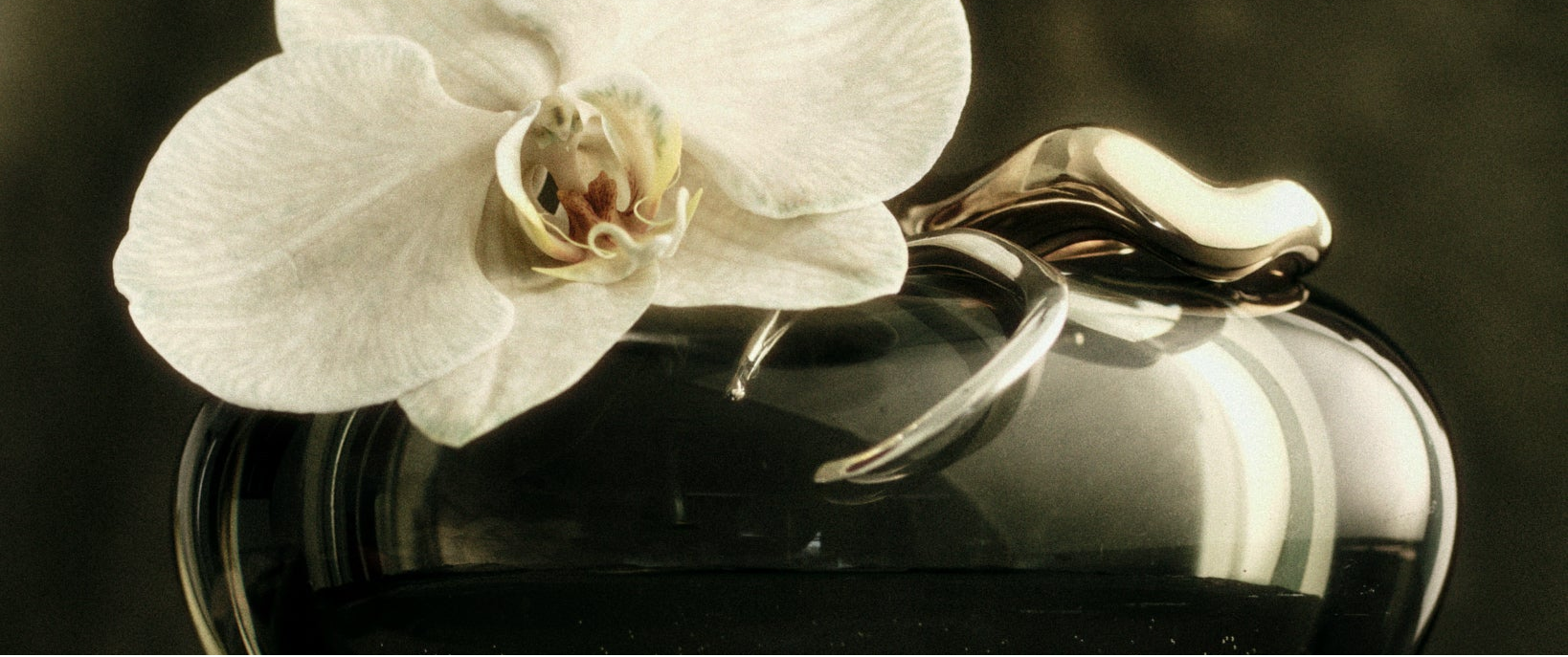 Jewelry Repair Services