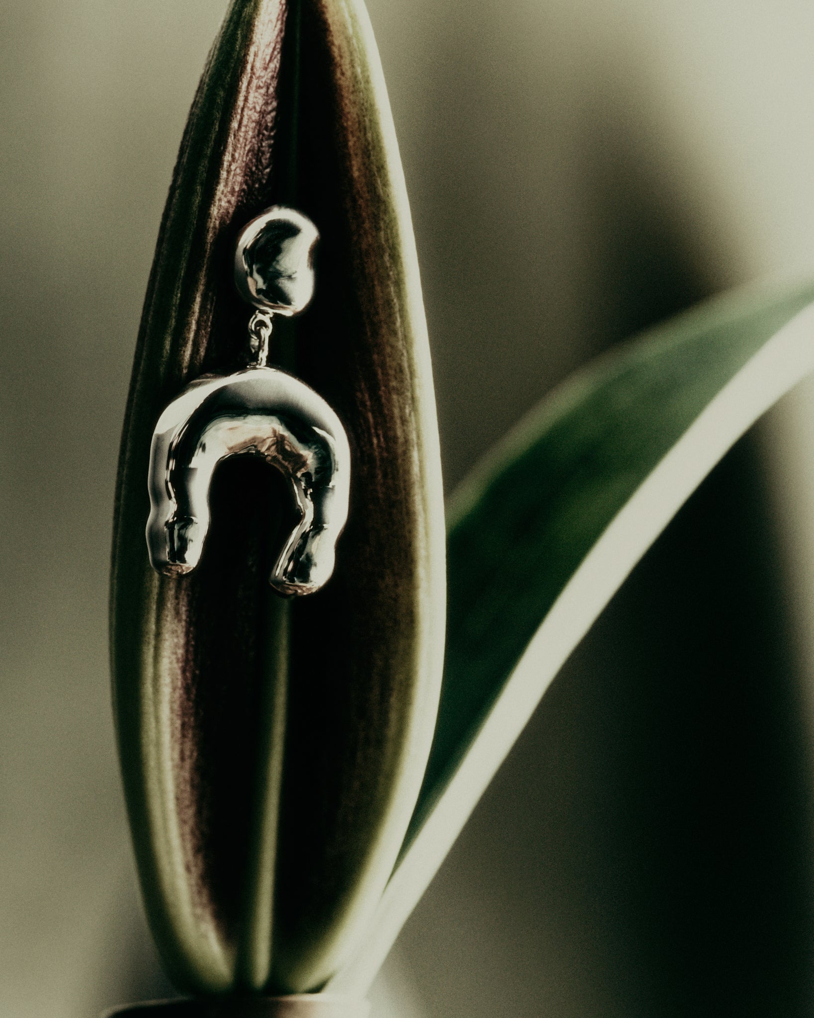 AGMES 0.925 sterling silver earrings with sculpted wishbone drop.