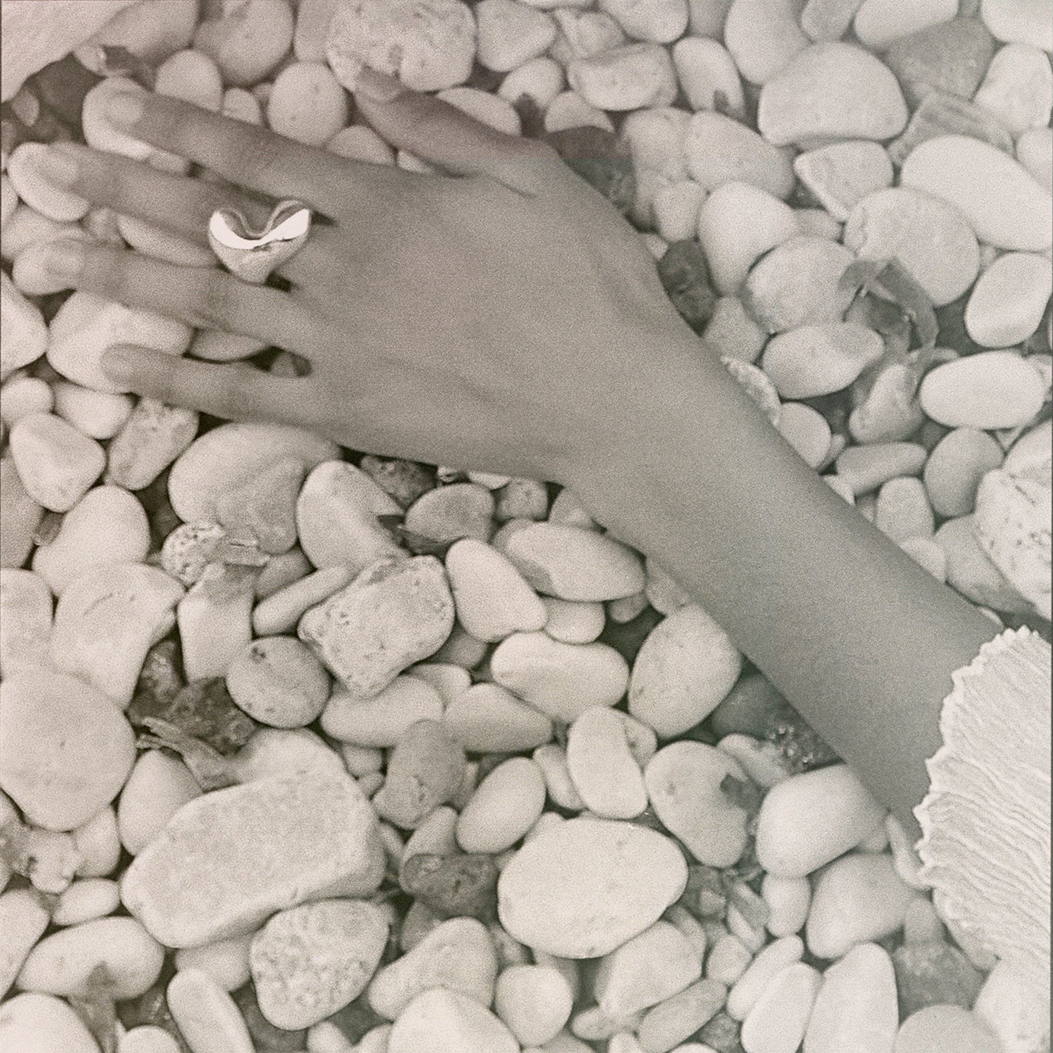 AGMES .925 Sterling Silver Turner Ring. Simone Bodmer-Turner.